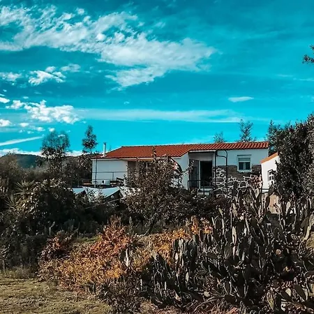 The Annex At Quinta Solar Apartment