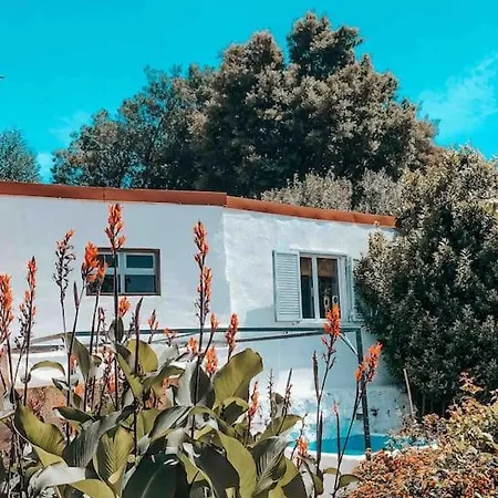 The Annex At Quinta Solar